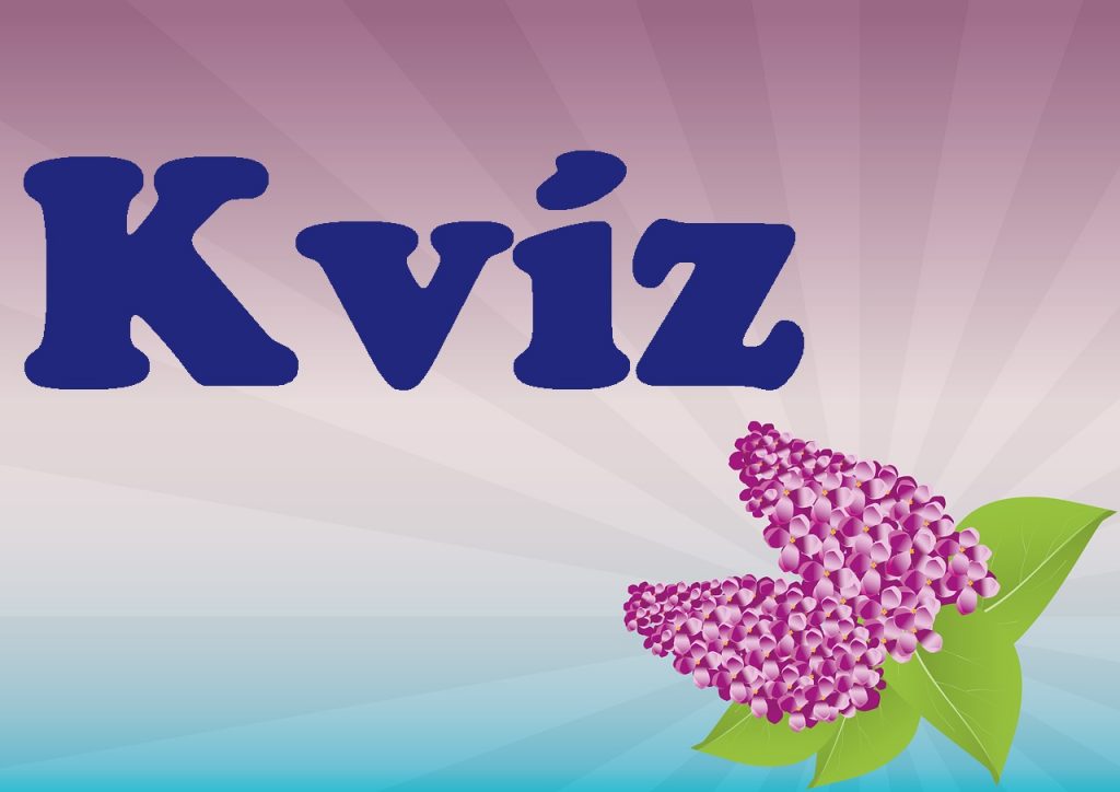 kvíz