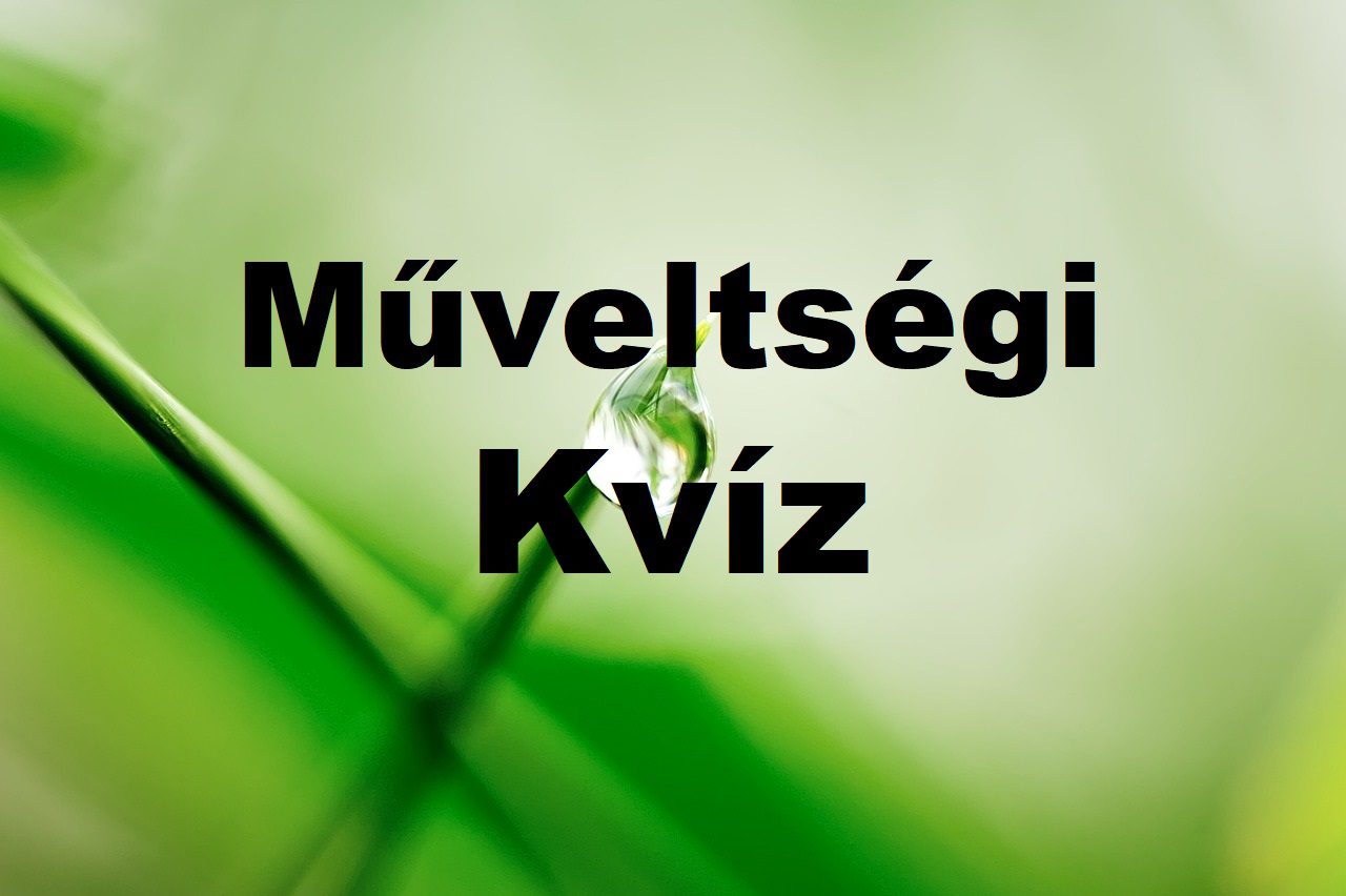 műveltségi kvíz
