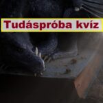 tudáspróba kvíz